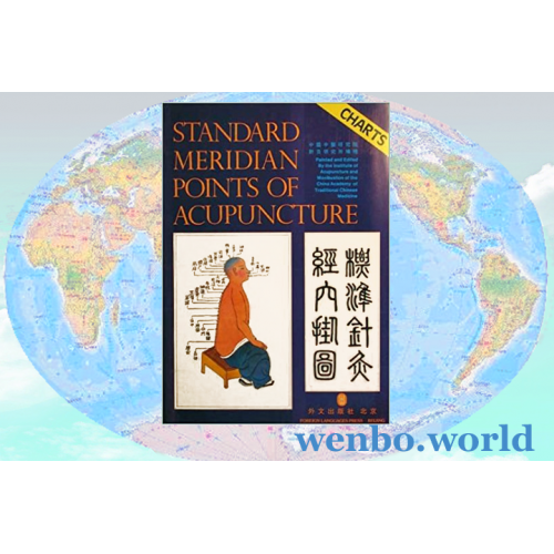 Standard Meridian Points of Acupuncture: Charts